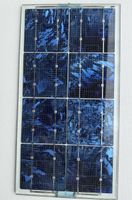 Solarpanel Modul monokristallin 