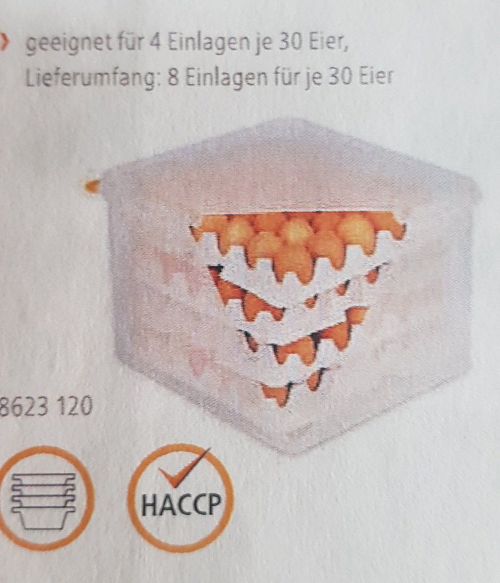 Behälter & Ähnliches: Eierbox  HACCP in Polypropylen – Neu (gemäss Beschreibung) aus Figino von mayam63