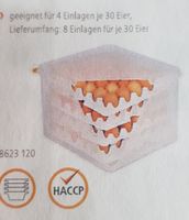 Eierbox  HACCP in Polypropylen