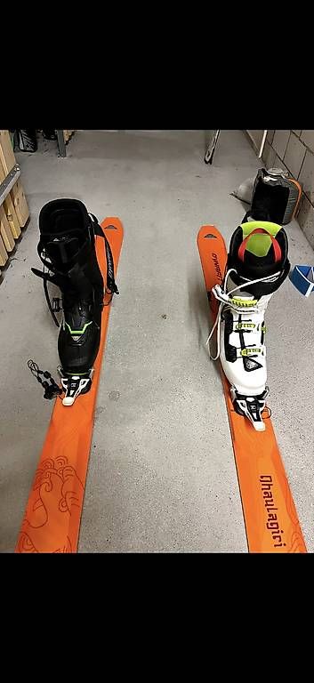 Dynafit Sci: Tourenski Dynafit Dhaulagiri 177 / 99 – Usato da Baar venduto da leszek_wo 1