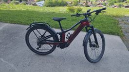 TREK Powerfly 27,5"