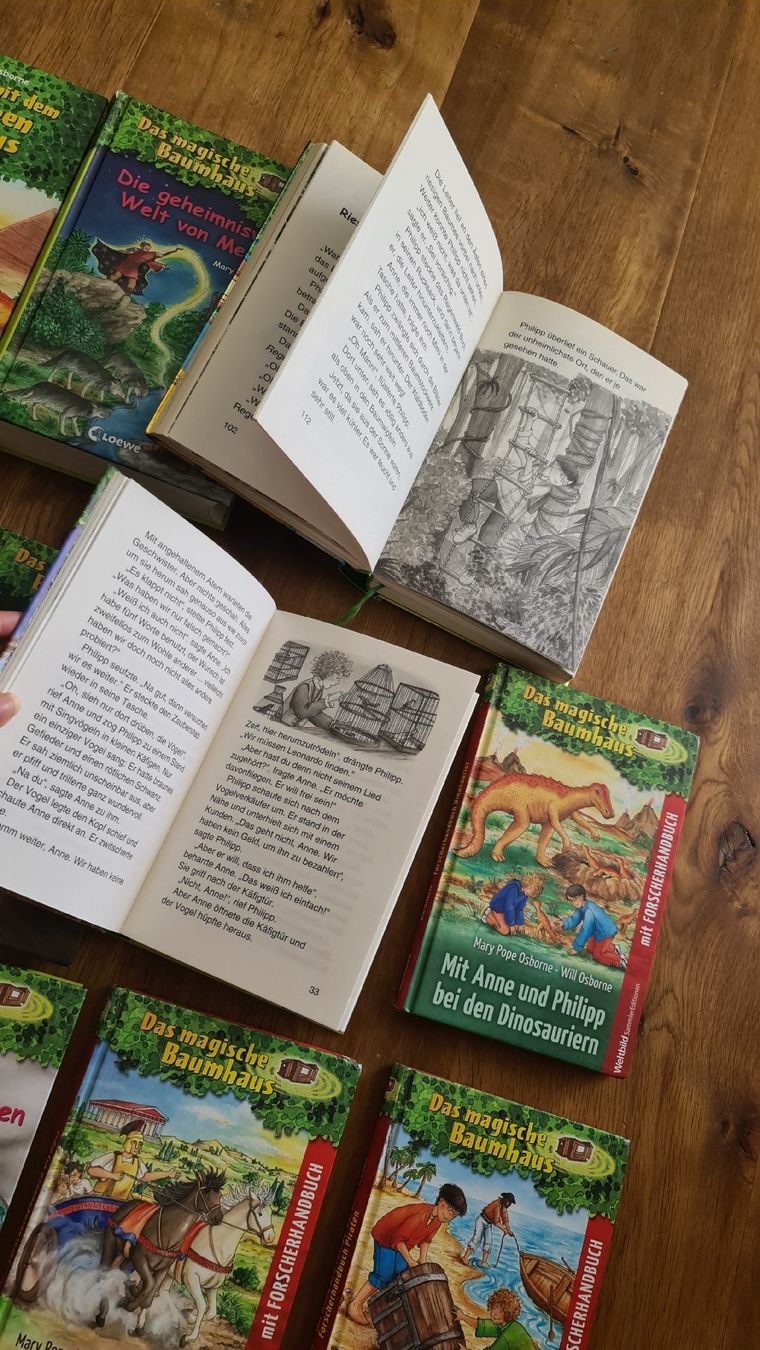 Libri: das magische baumhaus bücher set – Usato da Wittenbach venduto da Tigerlili 5