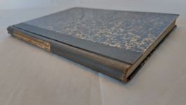 Hyperämie als Heilmittel von Professor Bier / Buch 1903