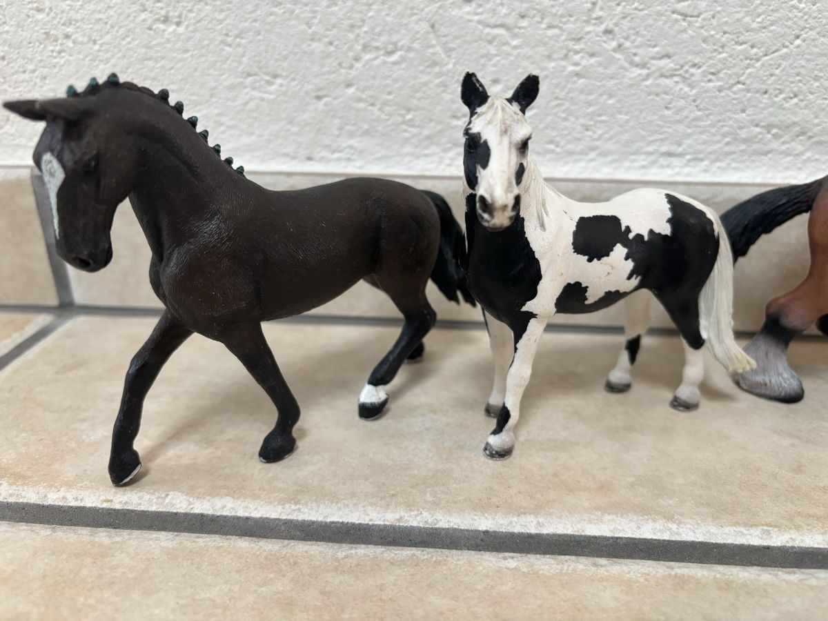 Schleich Giocattoli: Schleich Pferde – Usato da Hinwil venduto da princess_12 1