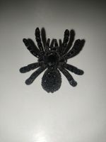 Bague araignée noire, taille M