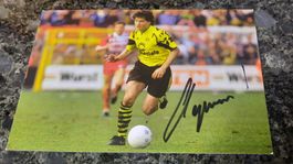 Autogrammkarte Stephane Chapuisat