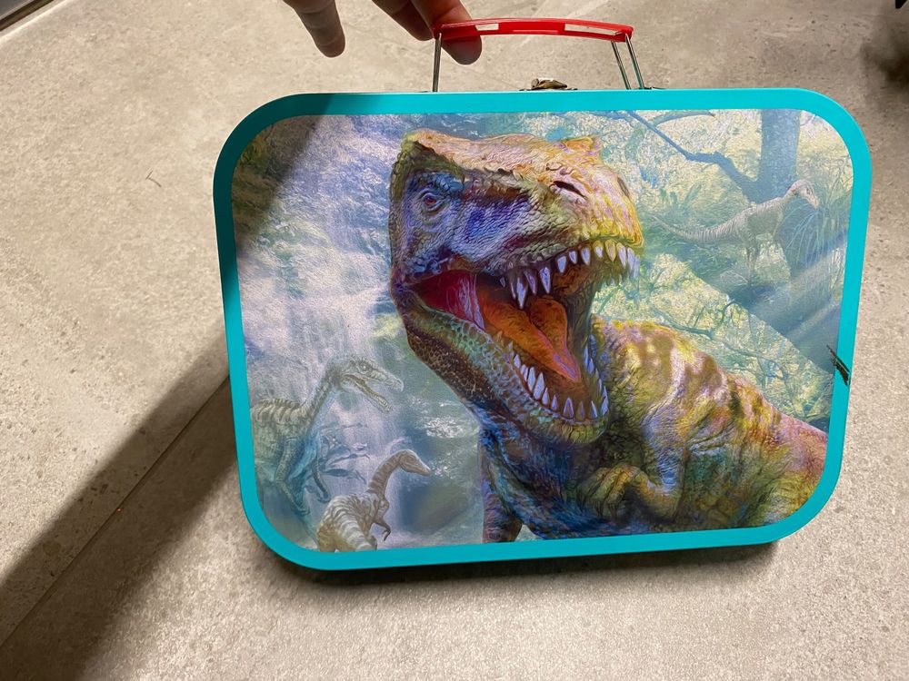 Boîte à Lunch Dinosaure Pour Garçon – Nylon Souple, Fermeture Zip – Comics/Skybound