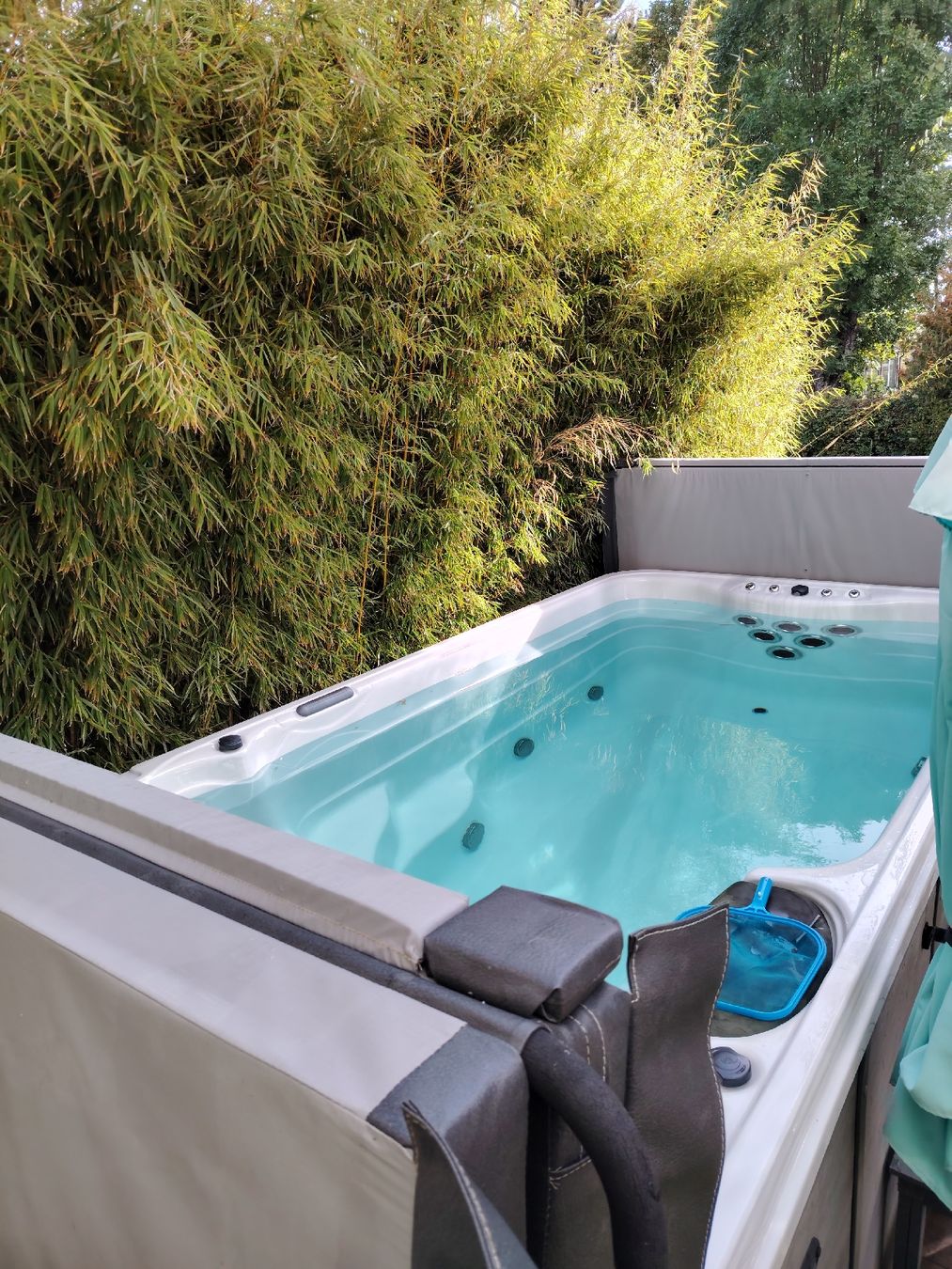 Whirlpool: Spa de nage + pompe à chaleur – Gebraucht aus Penthalaz von Fever1 3