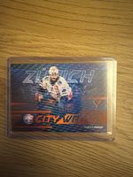 Willy Riedi, City Watch 59/95, ZSC Lions, SportZoo 2025/26