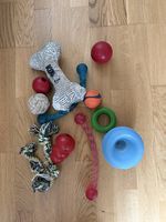 Großes Hundespielzeug-Set (KONG, Planet Dog Snoop uvm.)