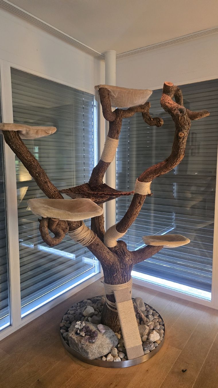 Arbres à chats: Katzenbaum Natur – D'occasion à Buchrain par urs_nq9w