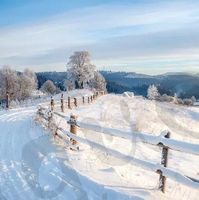Serviette winter walk (1428) 2Stk.