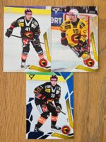 Sportzoo Saison 25/26 Basekarten SC Bern