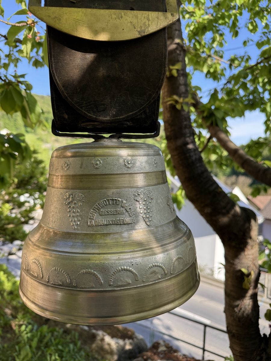 Campanacci mucche: Cloche de vache – Usato da Frinvillier venduto da Samsara77 7