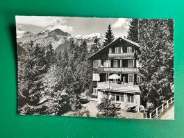 Kur-Pension Alpenblick, Wengen