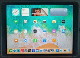 Apple, iPad Pro 12.9-inch, 2nd Gen, Wi-Fi, 512 Go, stylet