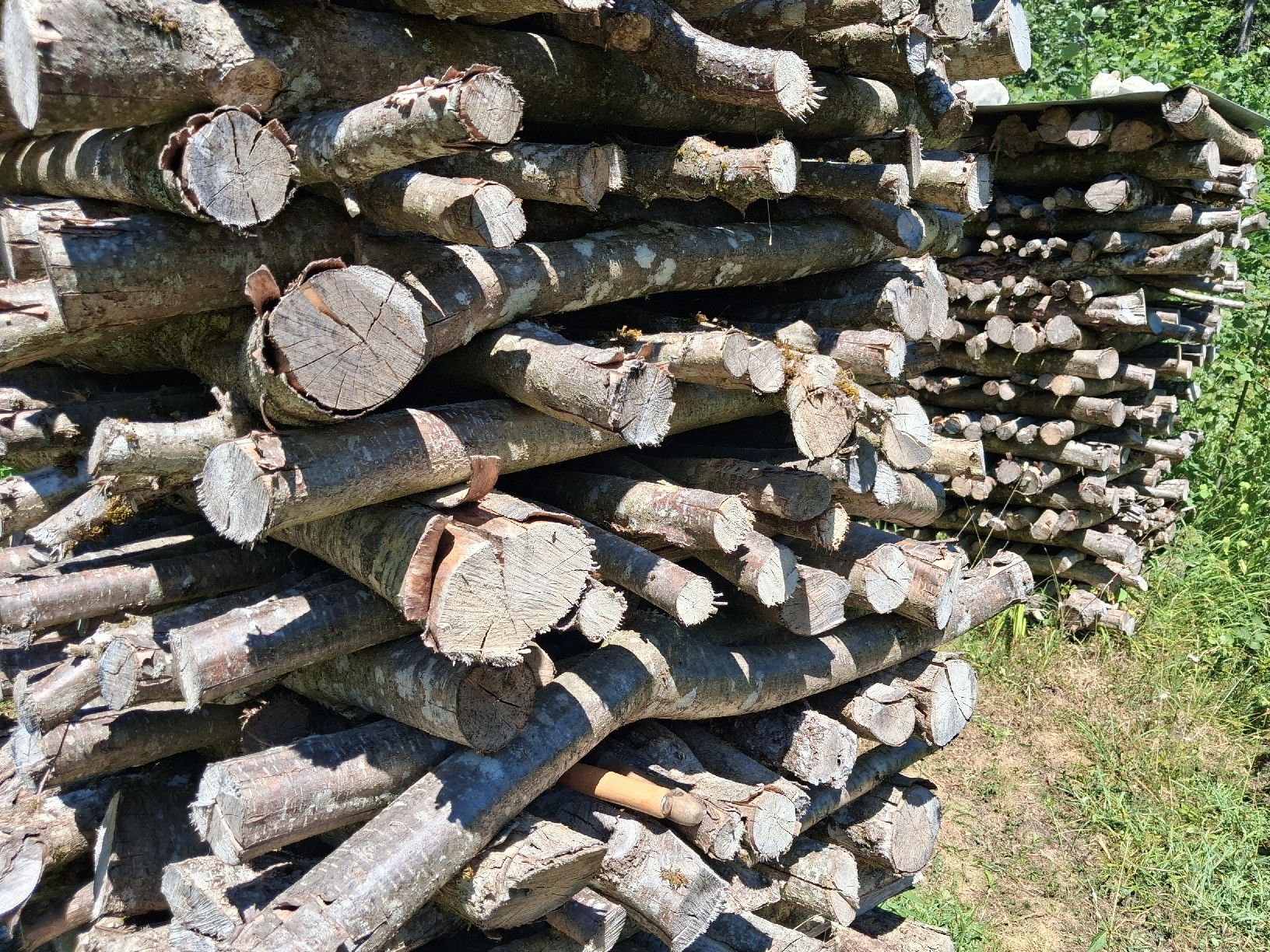 Articles en bois: Brennholz Hasel – Neuf (Voir description) à Herbetswil par ber_2kgk 2