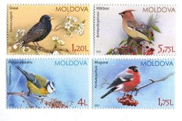 Briefmarken "Vögel". Moldawien.