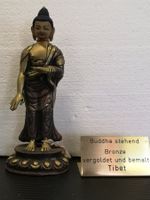 Buddha Figur Shiva Kali Skulptur Tibet Bharjasatwa 18cm