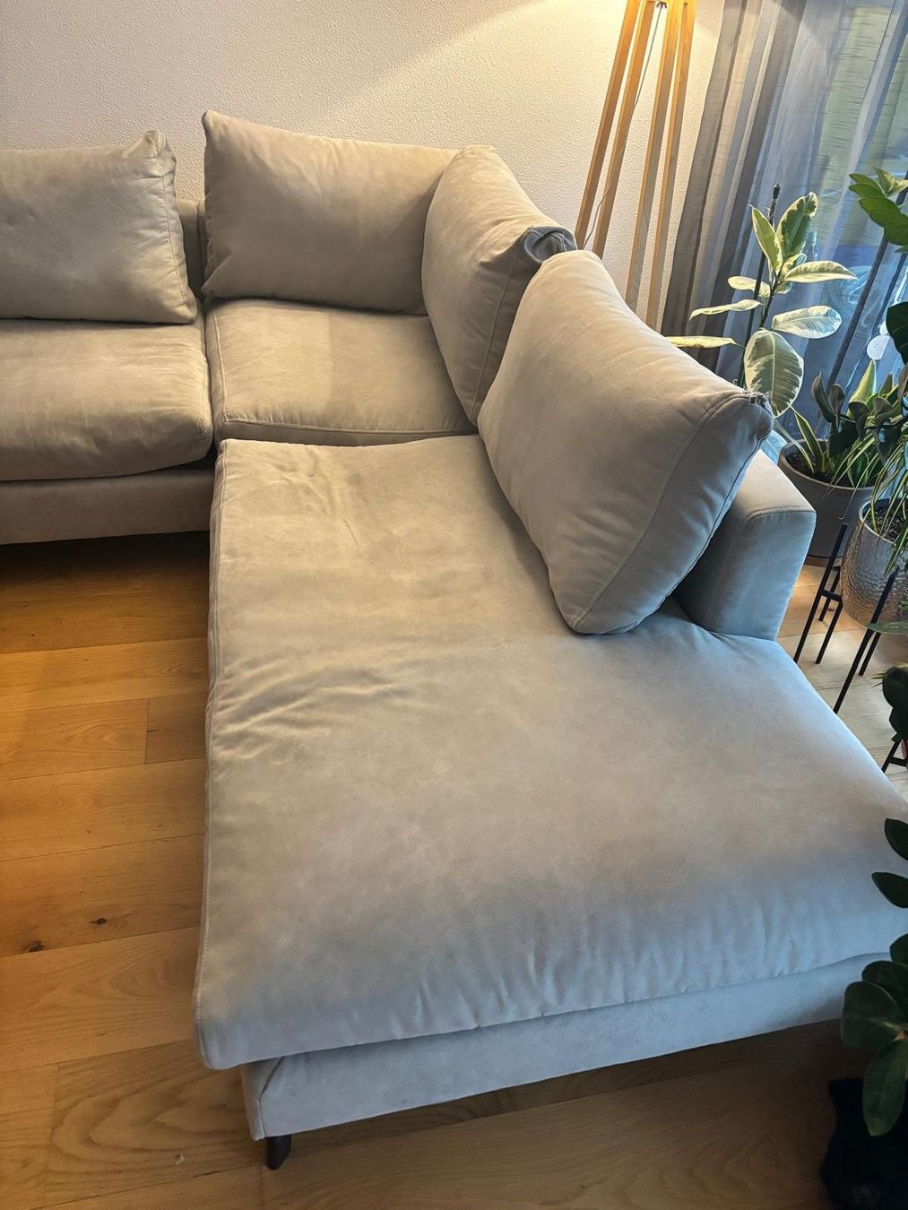 Livique Divani: Sofa – Usato da Zofingen venduto da ilkay.oktay 3