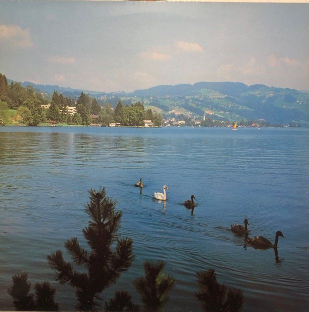 Dischi in vinile: Volkstümliches Zug (LP) – Usato da Grüningen venduto da azulmarron 4