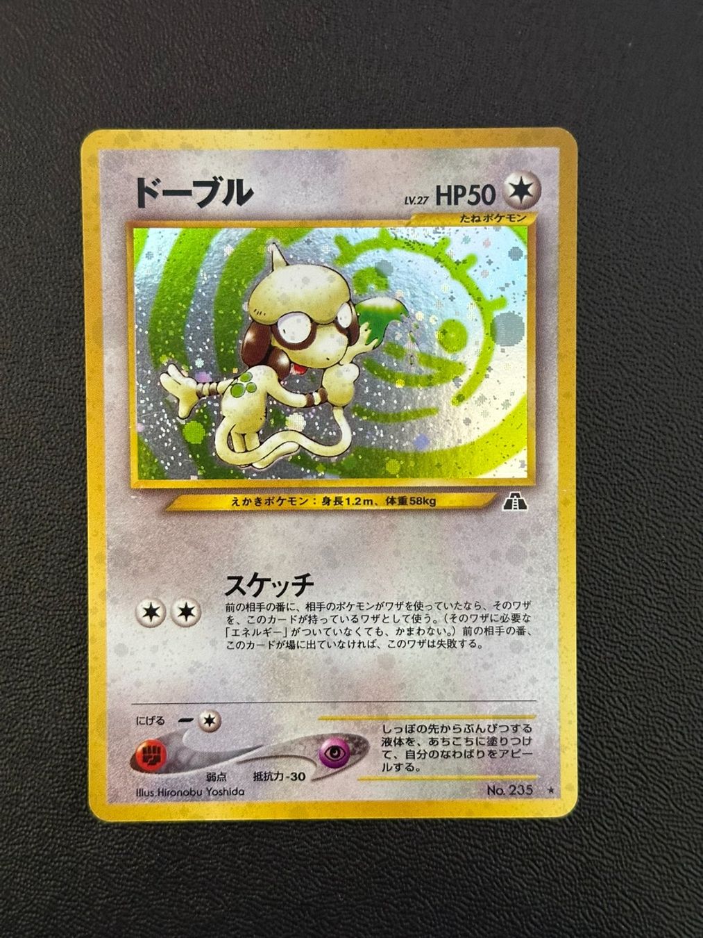 Pokémon Carte collezionabili: Farbeagle Crossing the Ruins 235 JAP – Usato da Felben-Wellhausen venduto da Collectorama_GmbH