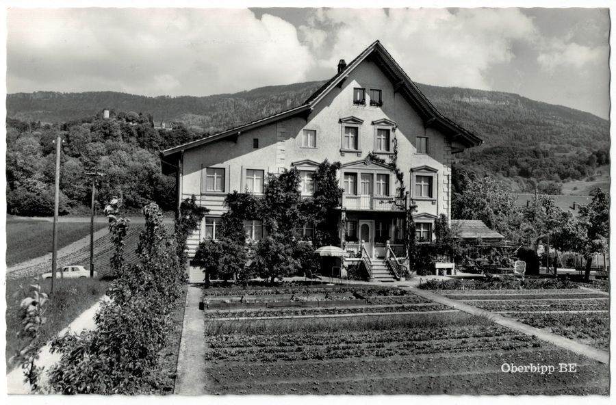 Cartoline postali: Oberbipp, Pension Friedheim, Fam. Hippenmeyer – Usato da Frauenfeld venduto da POML