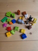Lego Duplo Zoo Tiere und Steine