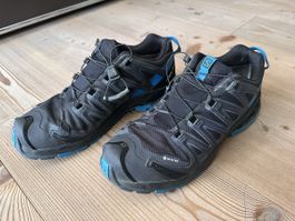Trekingschuh