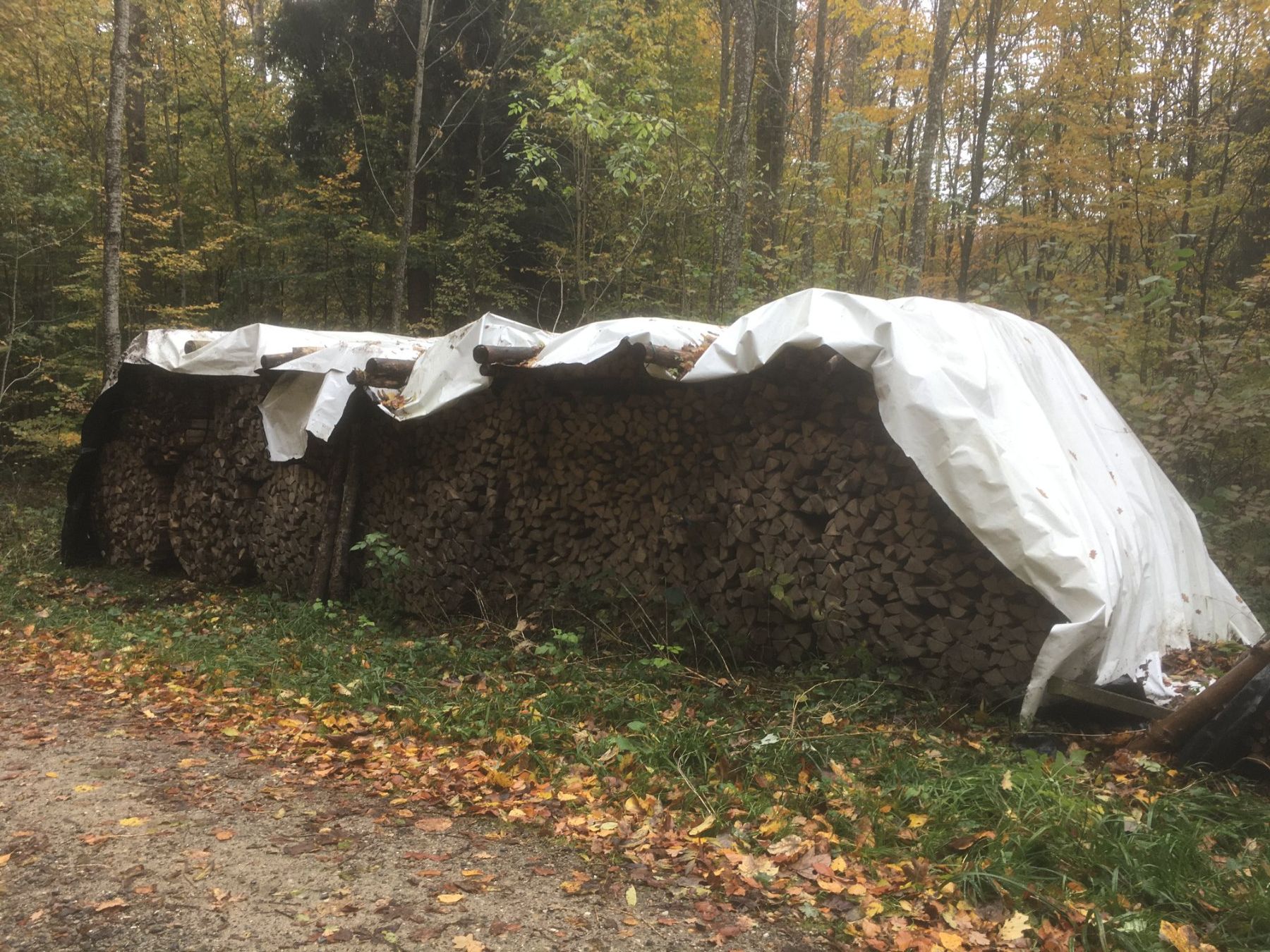 Holzartikel: Brennholz Ster Bündel – Neu (gemäss Beschreibung) aus Neukirch (Egnach) von Crank2 3