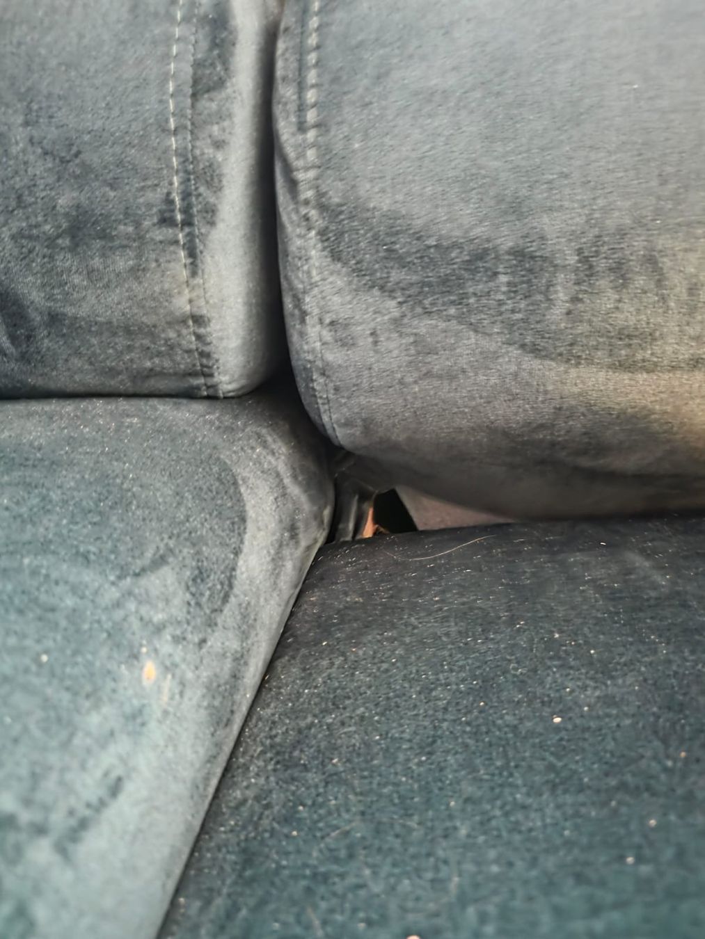 Divani: Ecksofa / Wohnlandschaft / Sofa smaragdgrün – Usato da Arbon venduto da NinaD1987 5