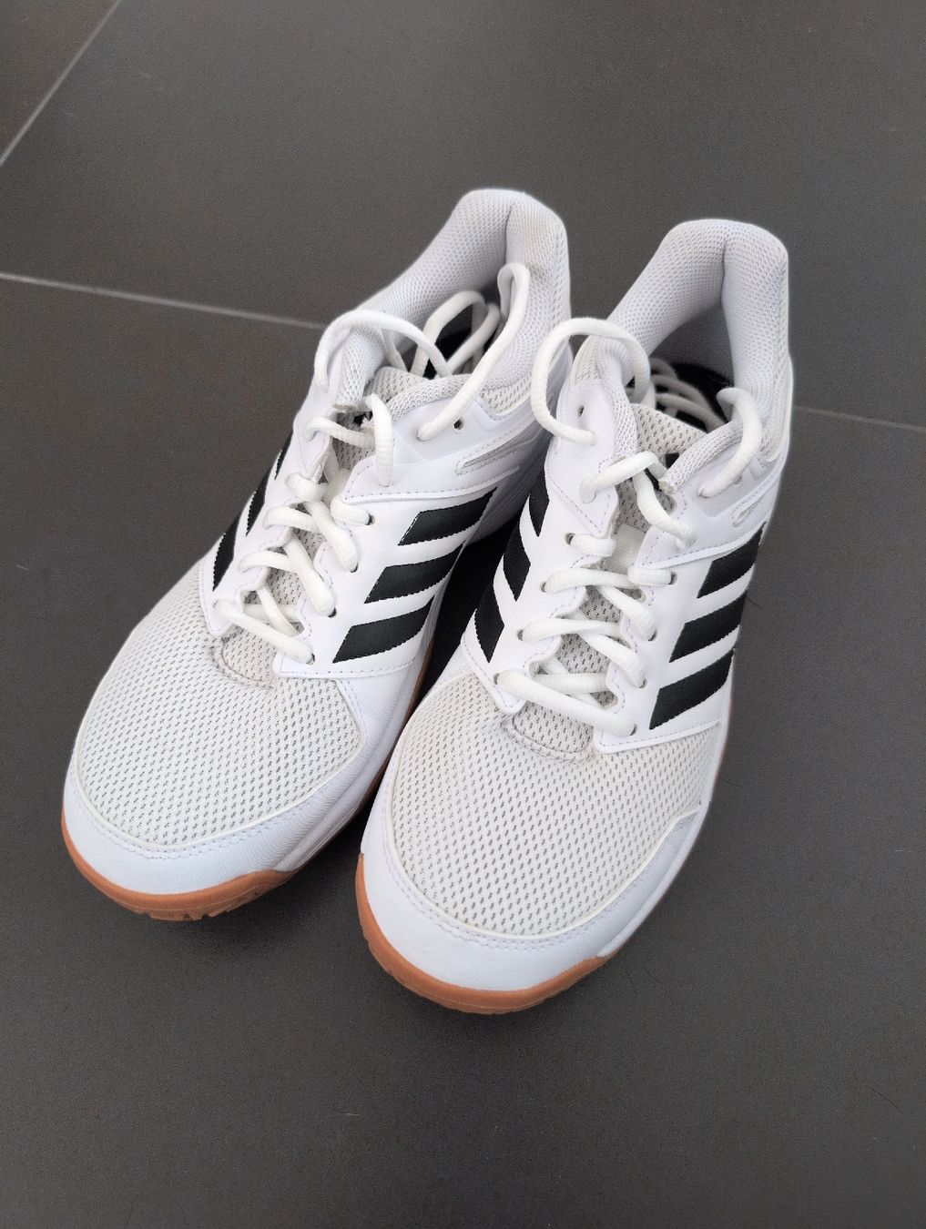 Adidas Scarpe da uomo: Adidas Hallenschuhe - NEU – Nuovo (secondo la descrizione) da Cordast venduto da Nepi8