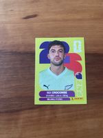 Panini NZL 2