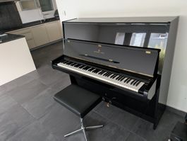 Piano Steinway & Sons v 415606