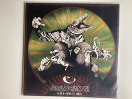 Anatomi 71 LP - Fran Primat Till Reptil