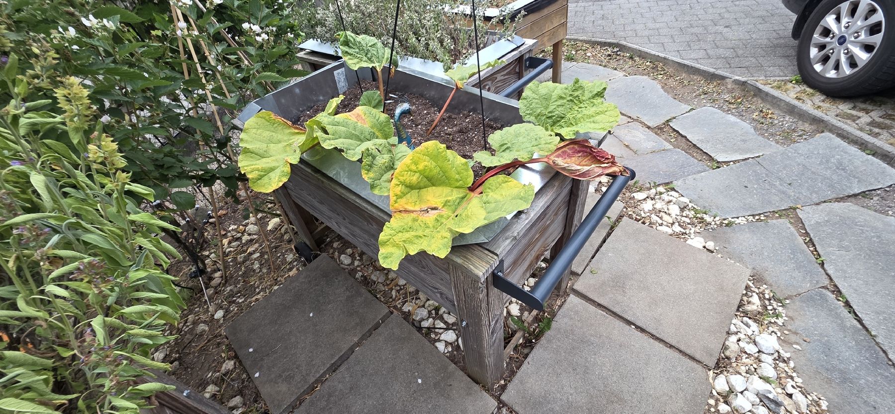 Vasi per fiori: 4 Hochbeet aus Holz mit Rollen und Griffen – Usato da Menzingen venduto da vannessa.studer 7