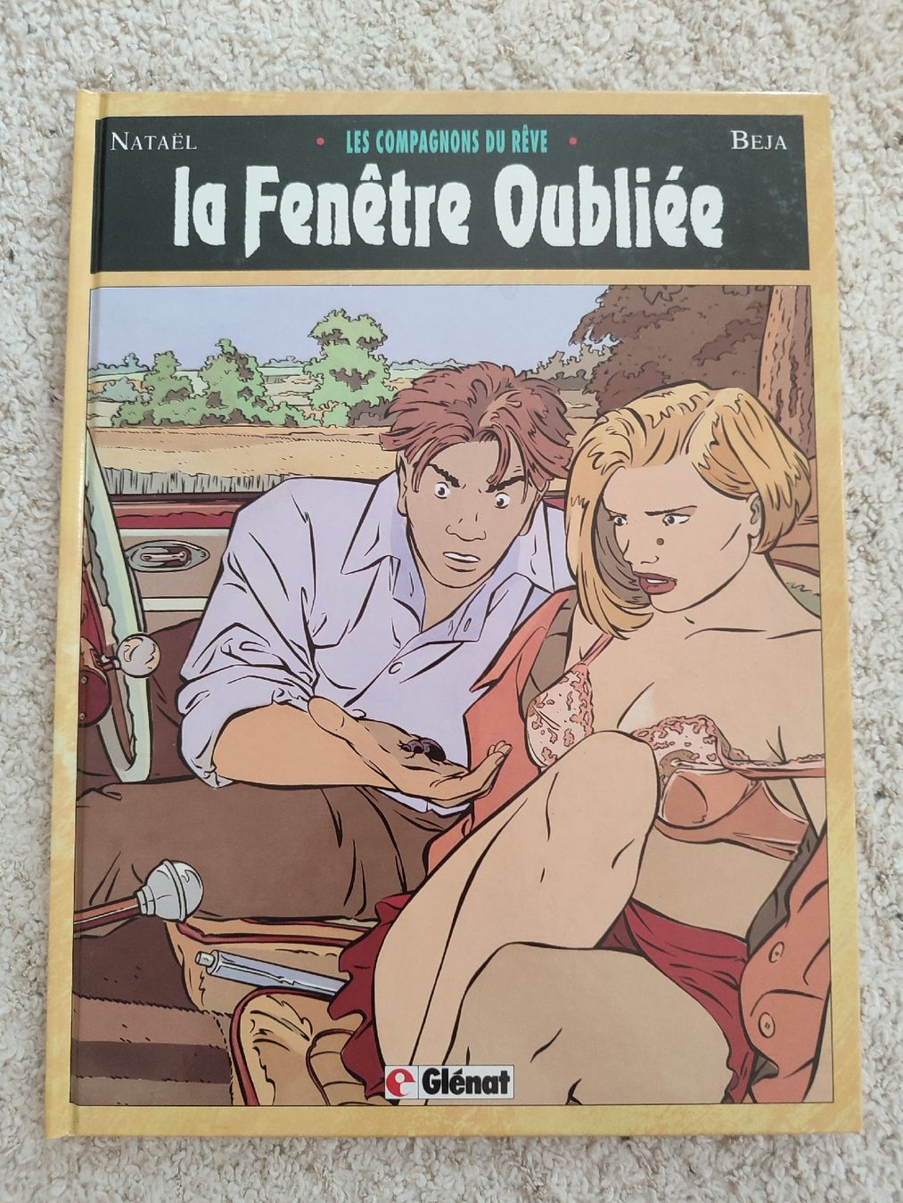 BD: Les compagnons du rêve - la fenêtre oubliée - EO - BE – D'occasion à Bougy-Villars par Vogue