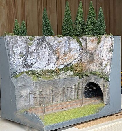Fotoset-Diorama spur N 30x10x40 cm (Gebraucht) in STABIO für CHF 104 ...