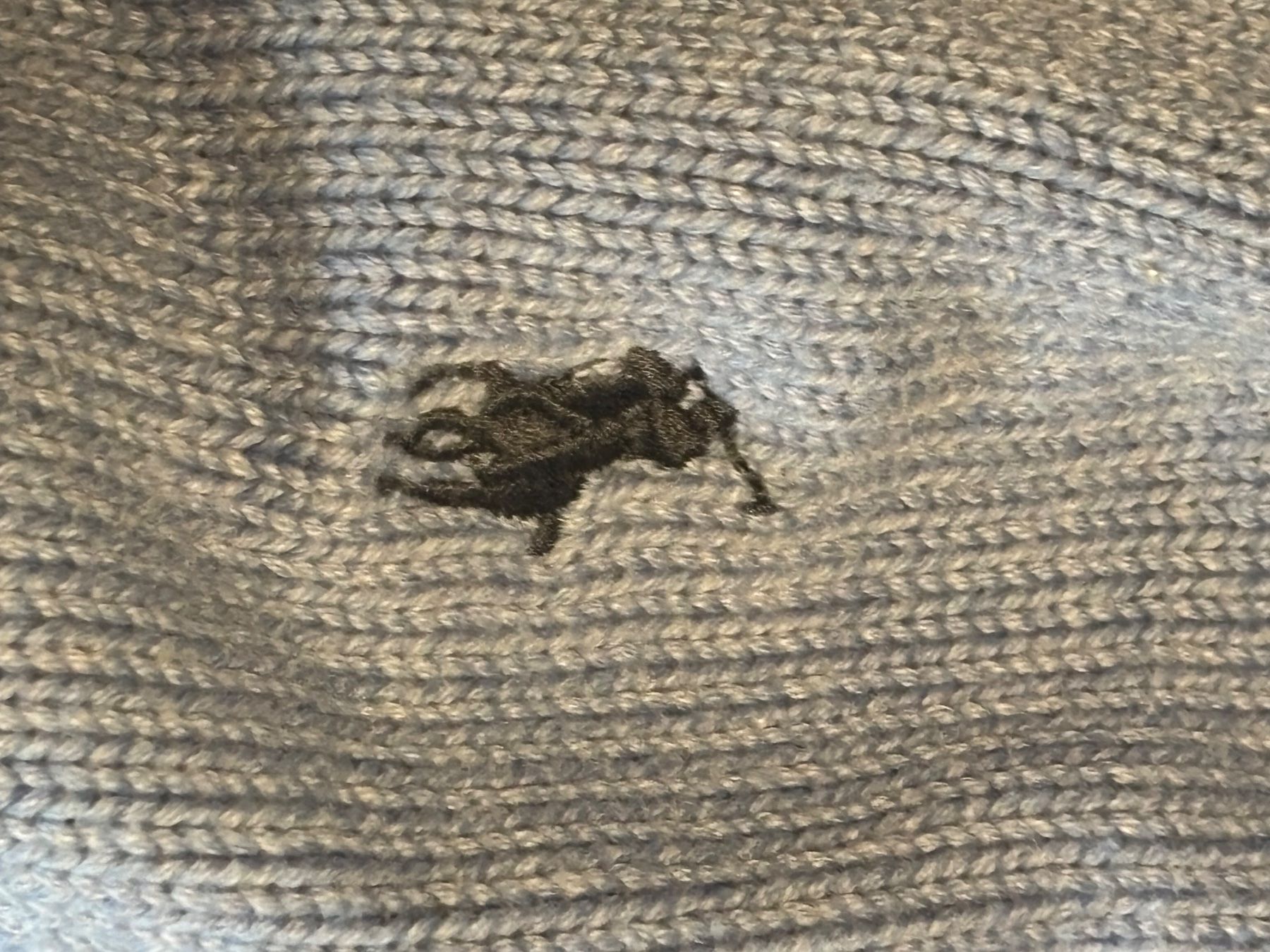 Polo Ralph Lauren Maglioni & Felpe: Polo Ralph Lauren Strickpullover hellblau – Usato da Bern venduto da unuki 2