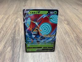 Pokemon Promo Karte Orbeetle V Holo