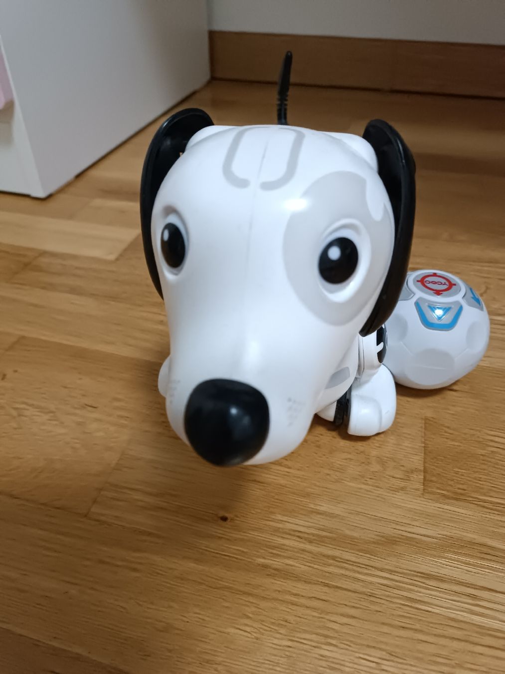 Giocattoli: Cane robotico – Usato da Bellinzona venduto da JasIvo