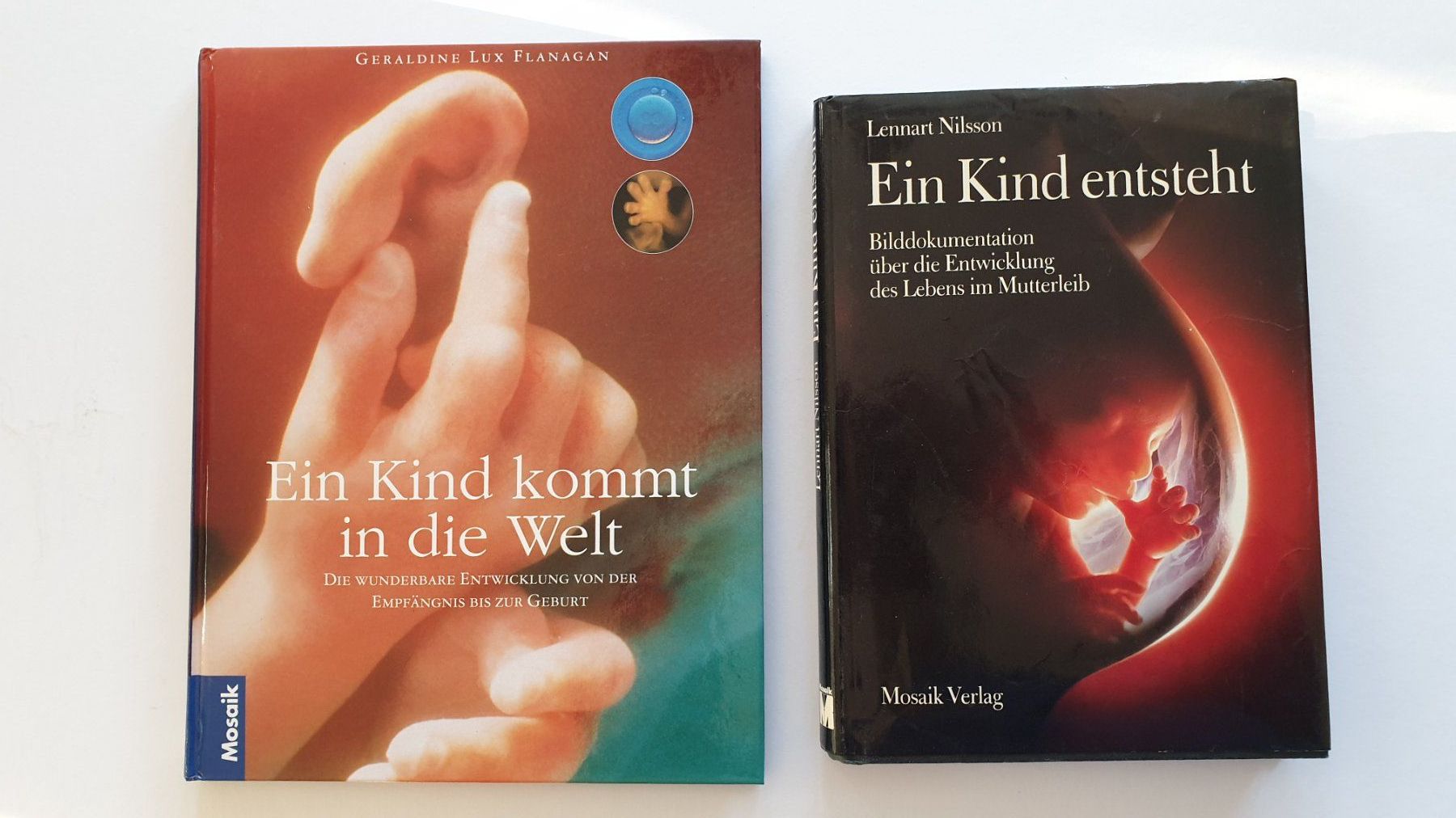 Libri: Ein Kind entsteht. – Usato da Goldach venduto da armando_r