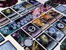 Spiele: Not Alone (Bundle) – Neu und originalverpackt aus Roggwil TG von Tarina27 1
