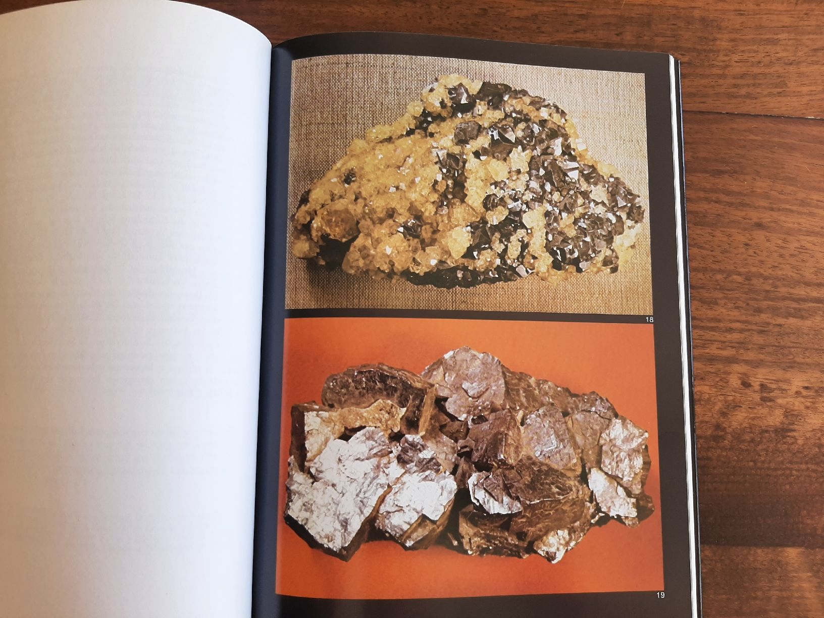 Libri: Buch Fosslien Sammlung Schalch – Usato da Rickenbach BL venduto da Oktober68 3