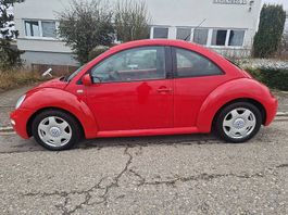 VW Beetle.  Frisch ab Kontrolle.  14.02.25