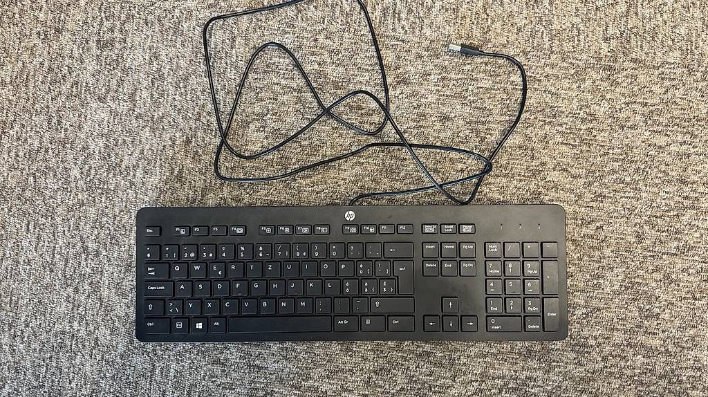 Hewlett Packard Tastiere: HP Tastatur mit USB-A Anschluss – Usato da Bern venduto da Chiara__ 1