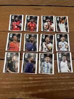 12 Cola Panini Sticker Panini 2026 WM