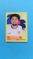 Panini Sticker FIFA WM 2026 - USA 10
