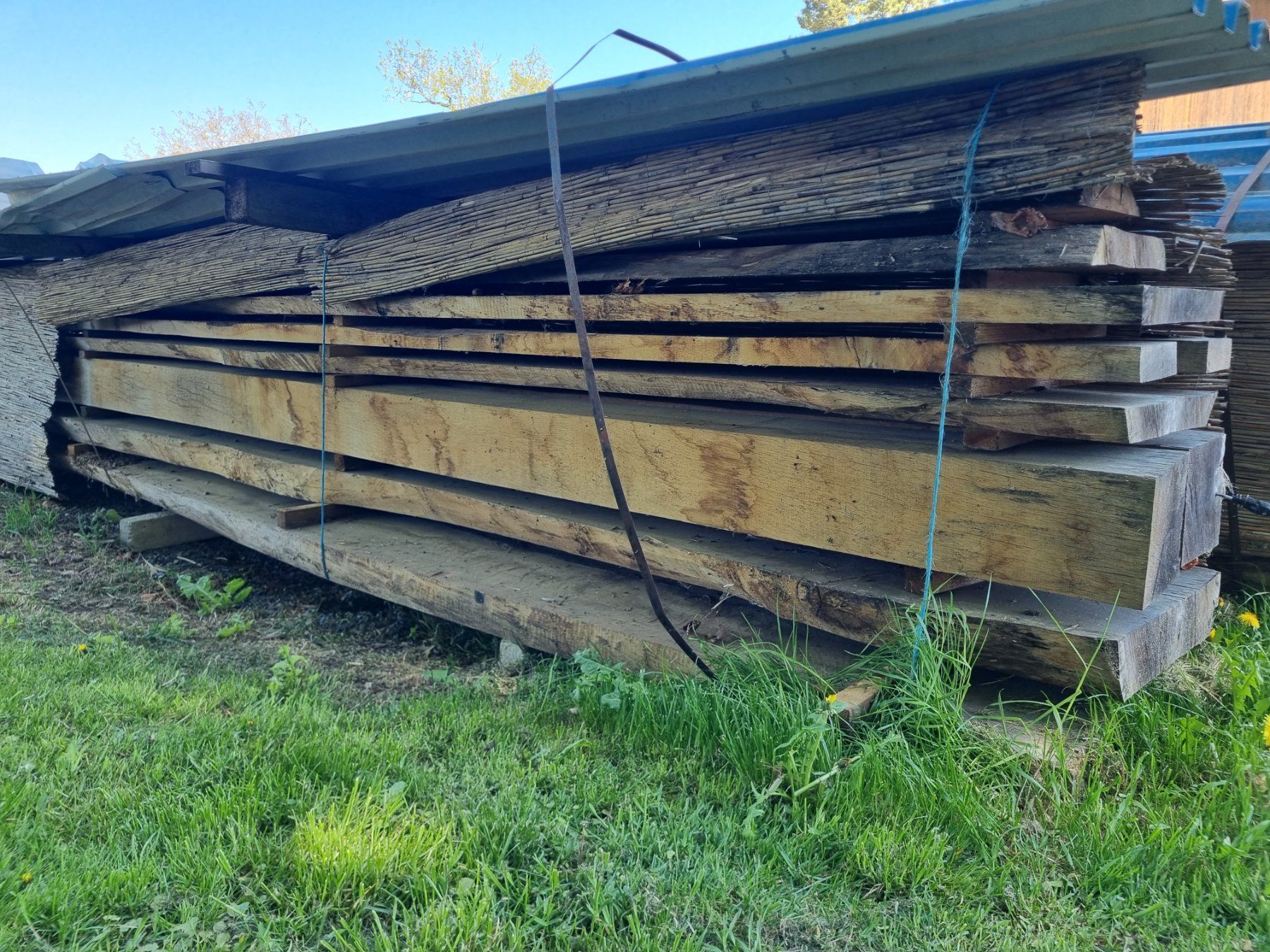Articoli in legno: Schweizer Eiche, luftrocken – Nuovo (secondo la descrizione) da Worb venduto da schlossgut.worb 2