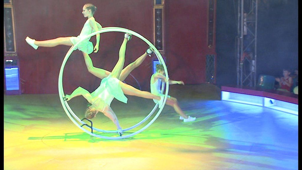 Alle DVDs: Circus Basilisk Programm 2010 Traumreise Zirkus Kinder – Gebraucht aus Allschwil von Summelsarium 9